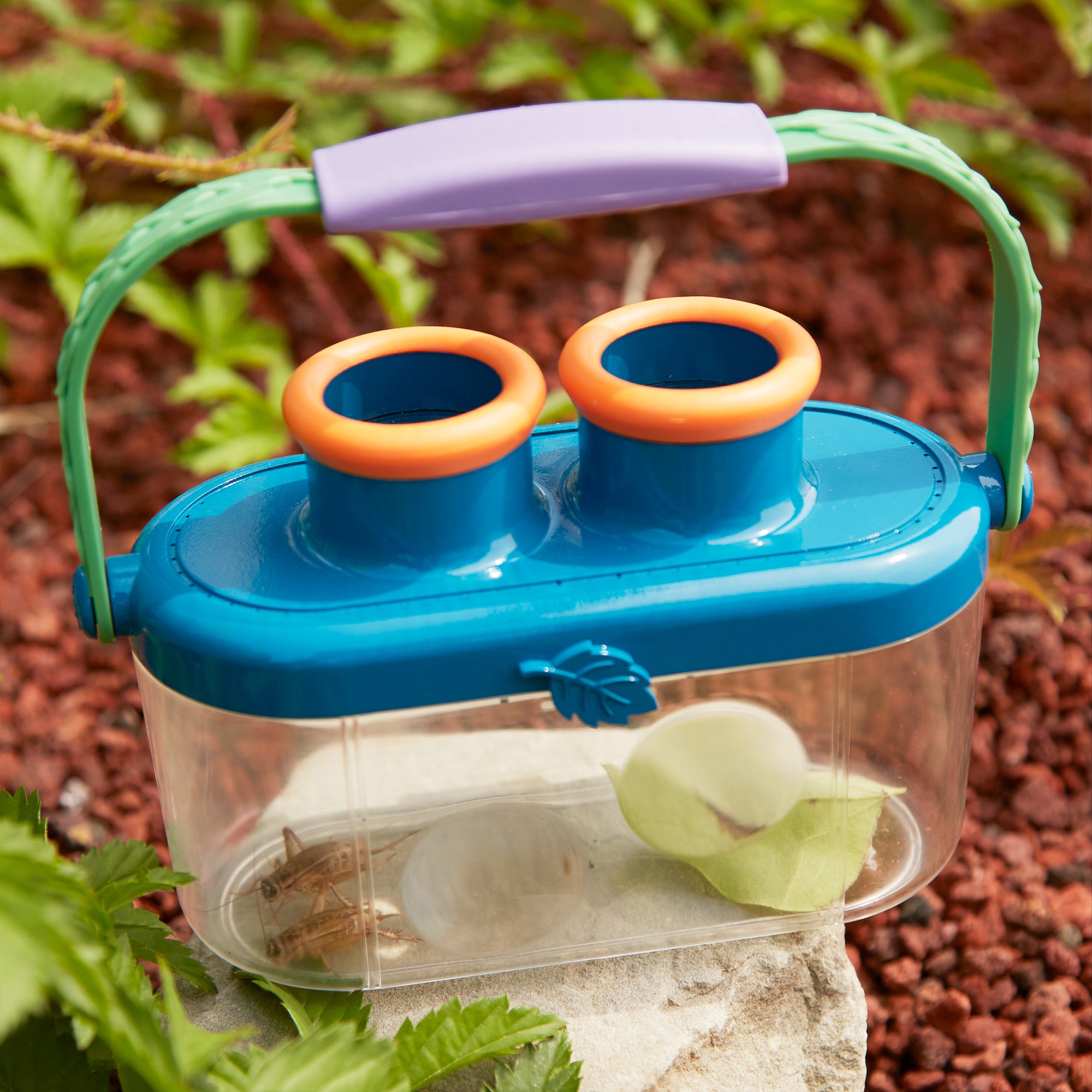 Geo safari Bugnoculars