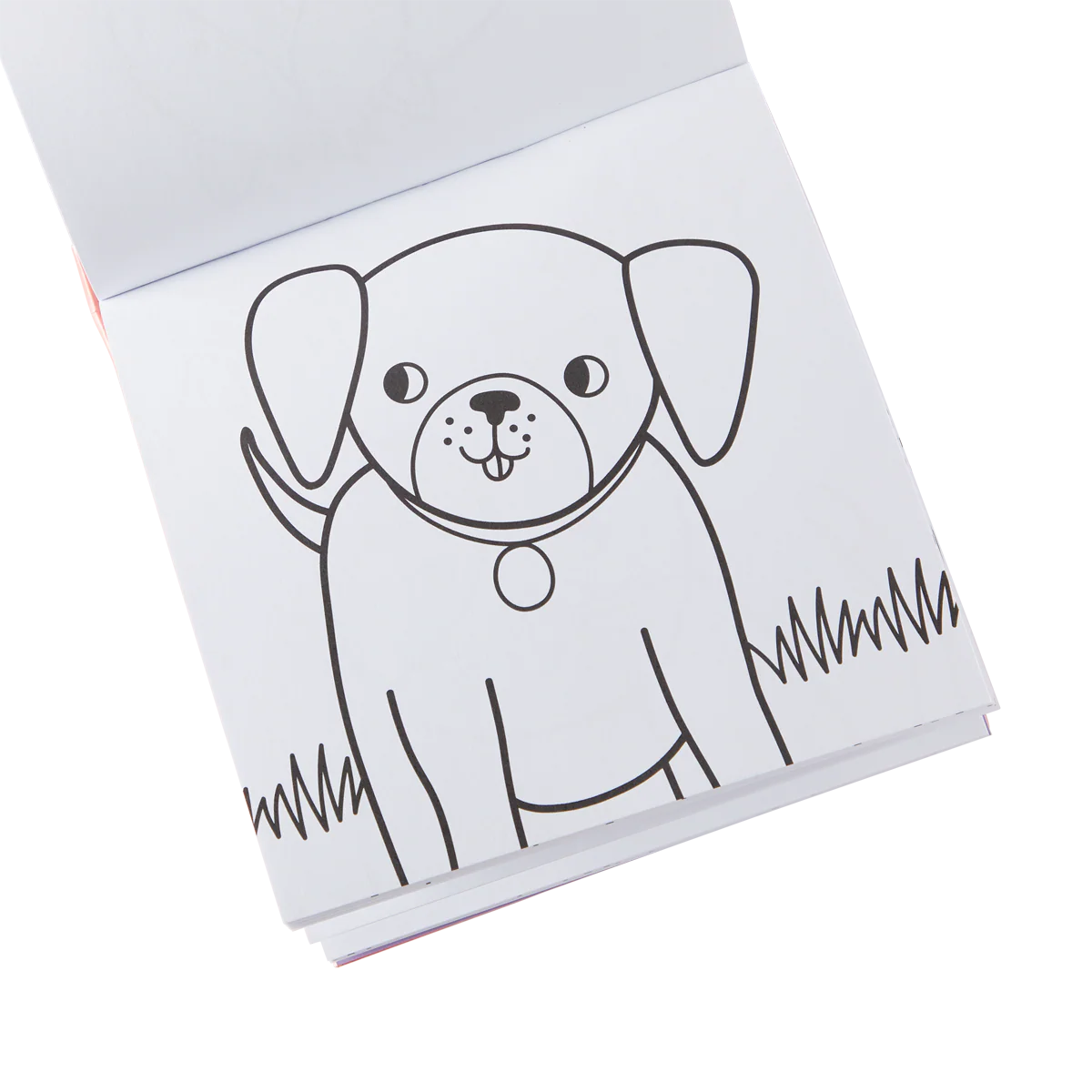 Set Libro para Colorear + Crayones - Mascotas