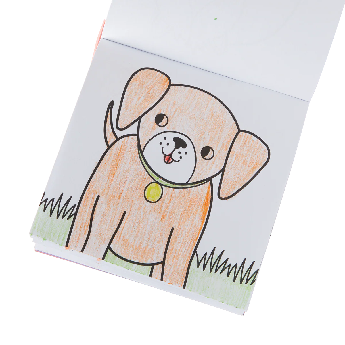 Set Libro para Colorear + Crayones - Mascotas