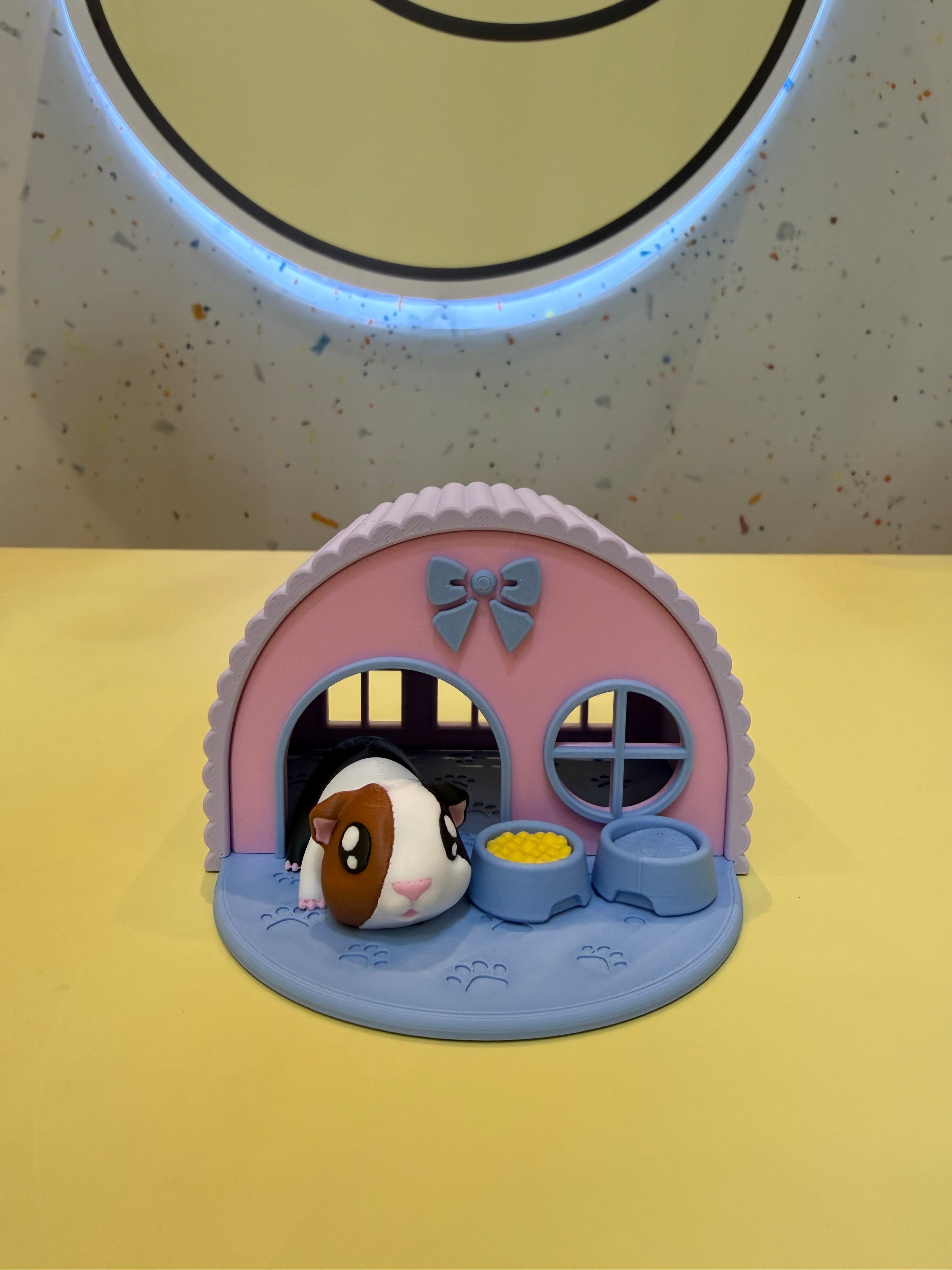Hamster Playset