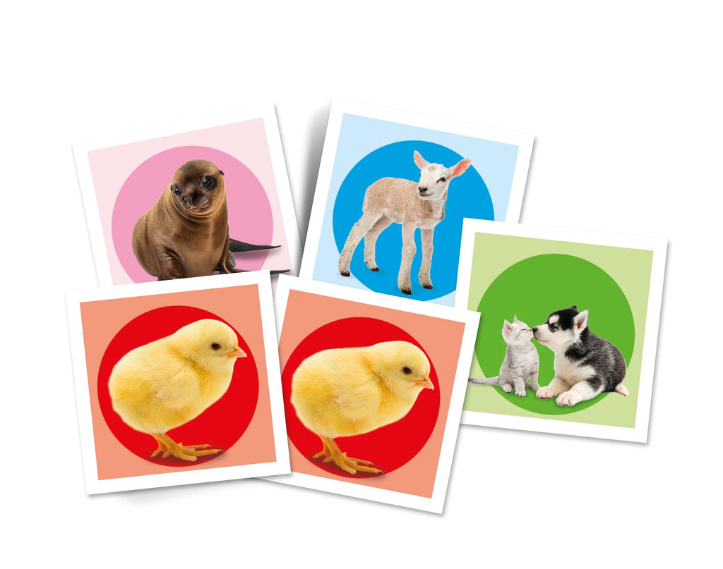 Memo Animales - Juego educativo para emparejar