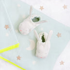 Botitas de Conejo Menta